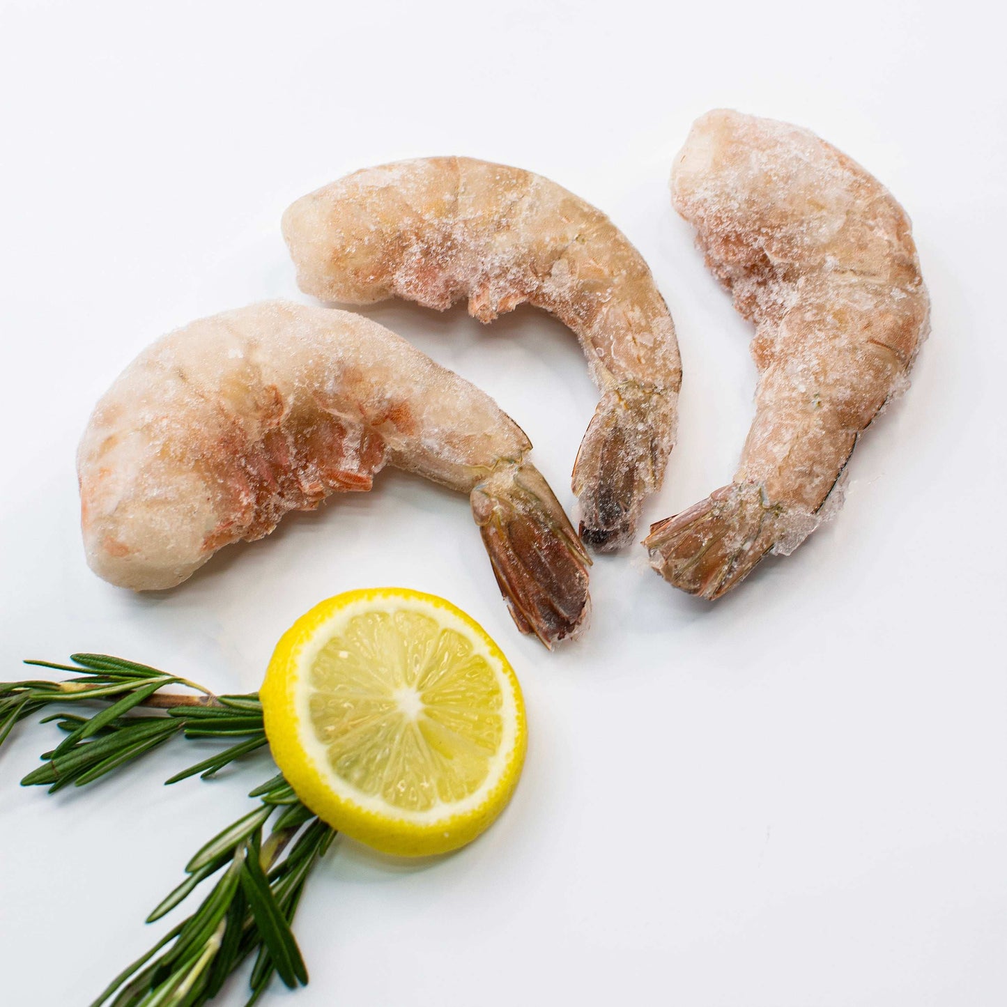 Camarón U-12 - El Rey del Callo