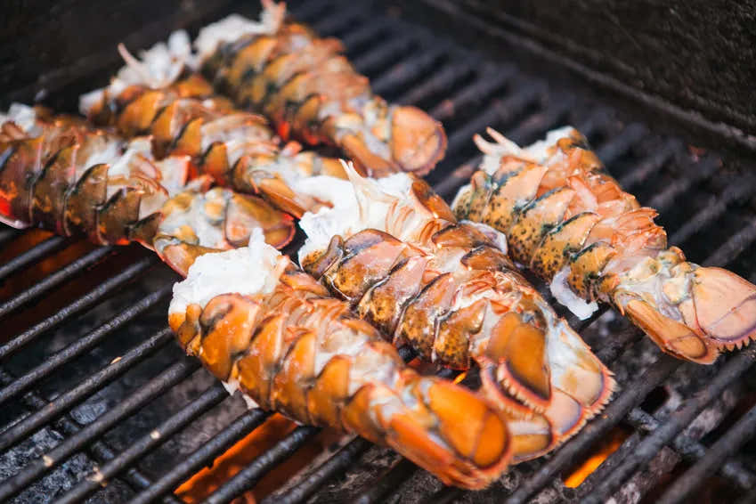 Cola de langosta a la parrilla