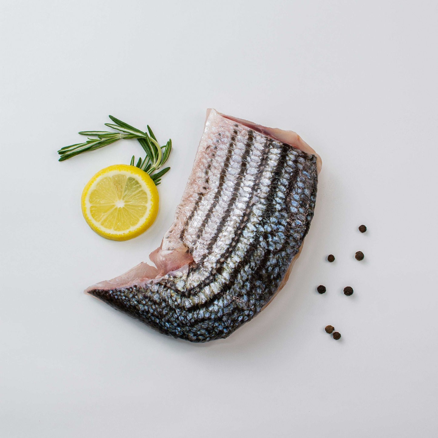 Lobina Rayada - El Rey del Callo