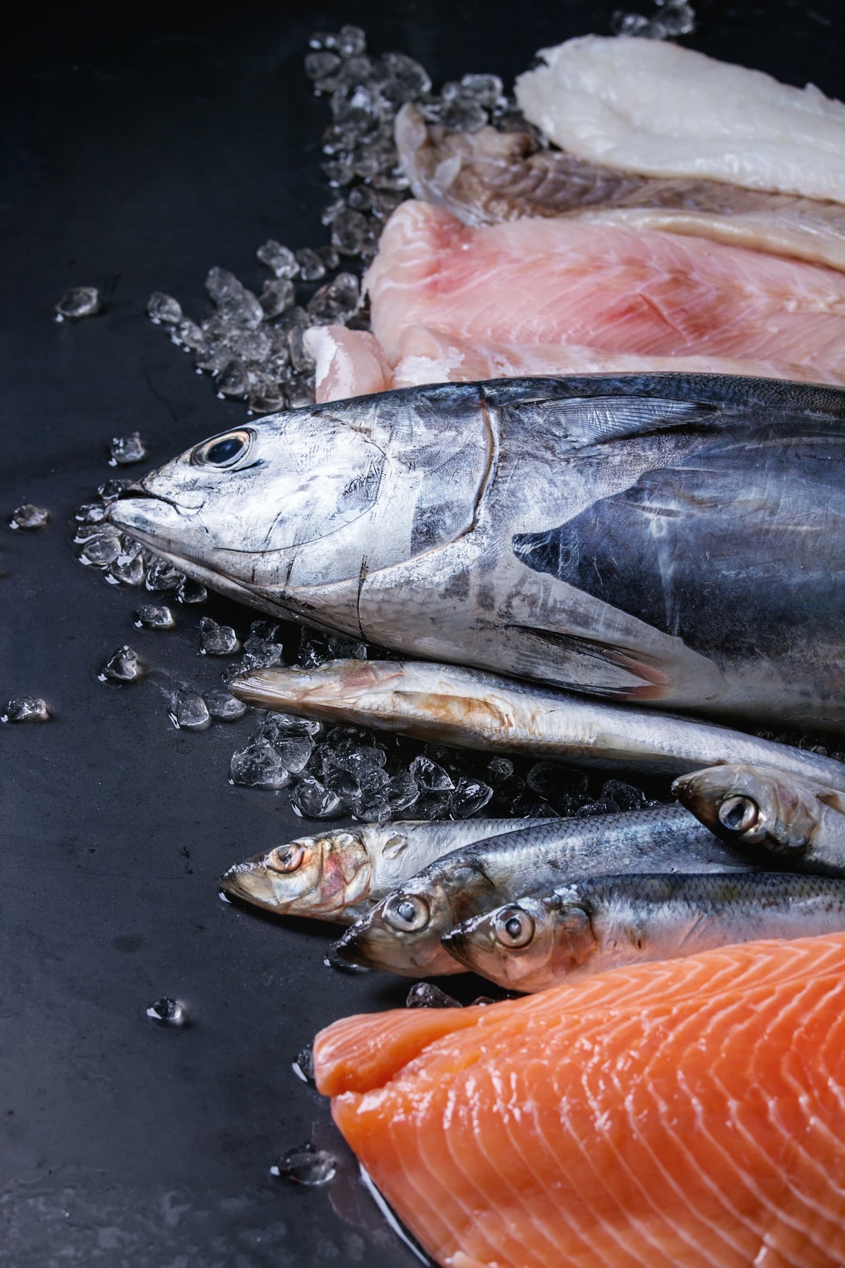 El Rey del Callo - Calidad Superior en Pescados y Mariscos