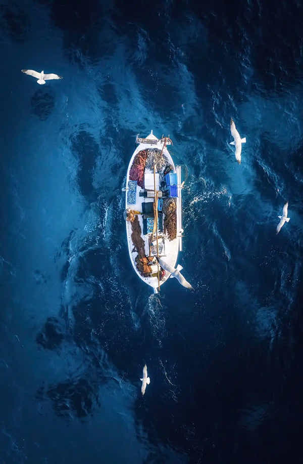 El Rey del Callo - Calidad Superior en Pescados y Mariscos