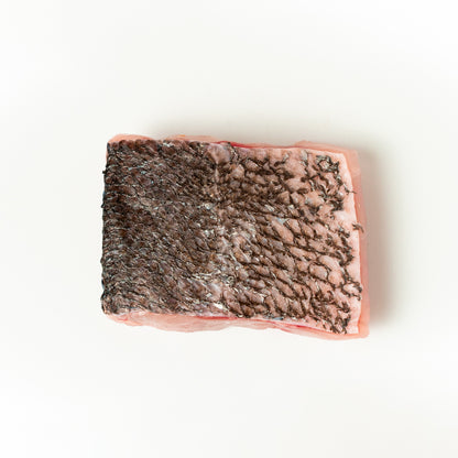 Porción de Totoaba