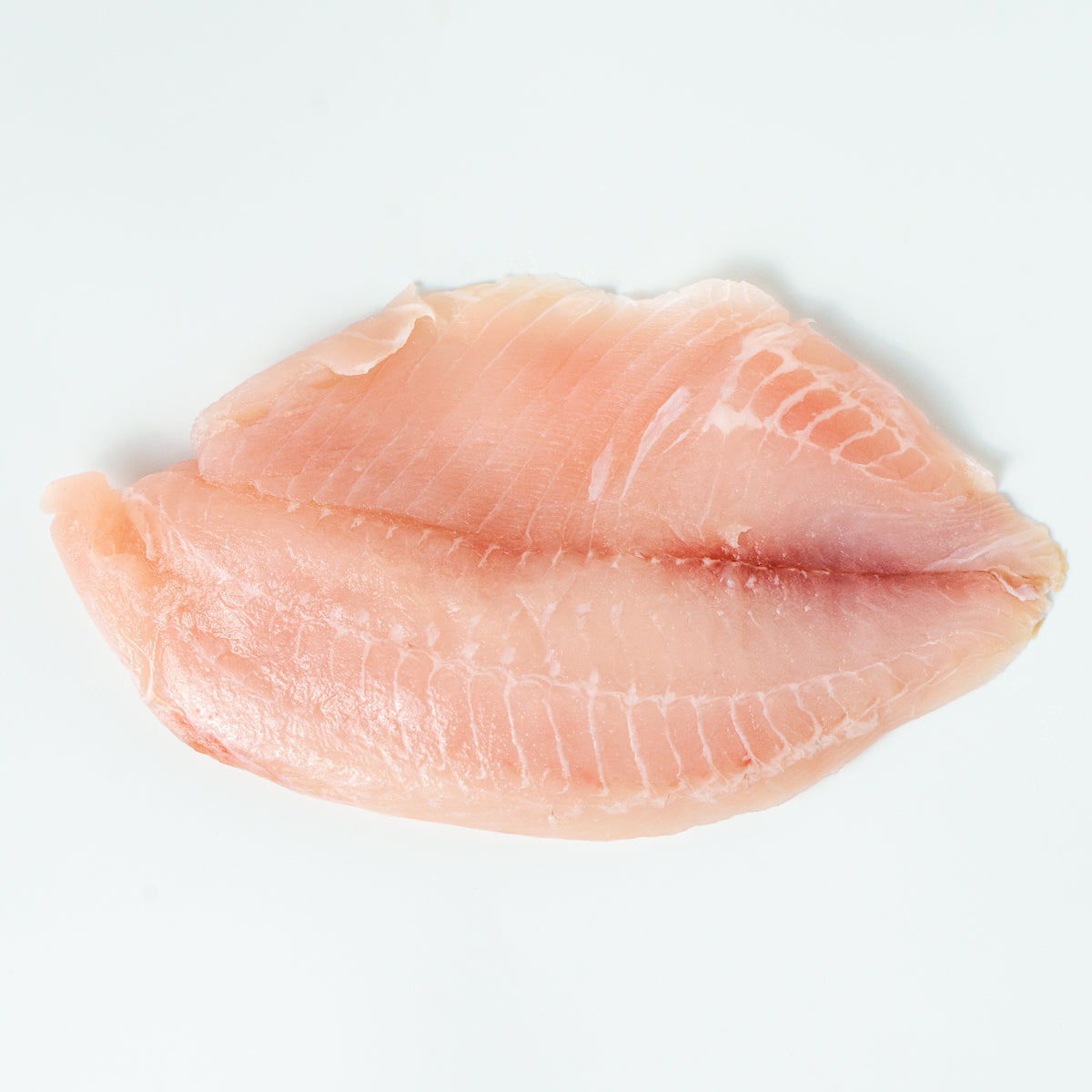 Tilapia Mexicana